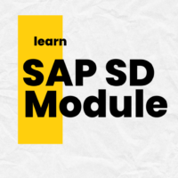 SAP SD Module