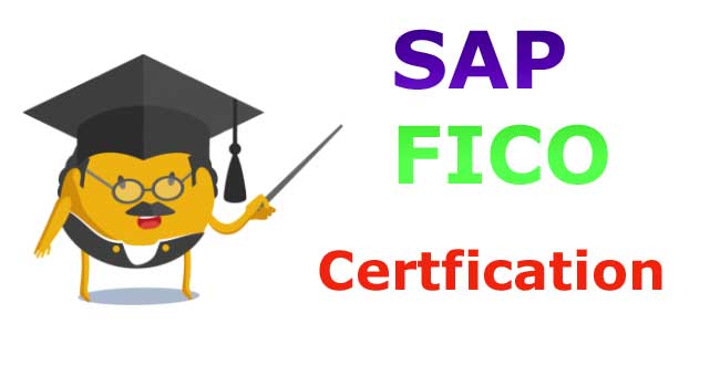 SAP FICO Training and placement in Mumbai