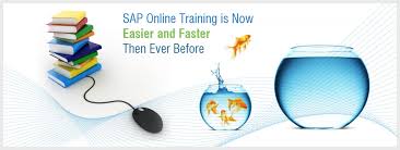 SAP Online Training mumbai