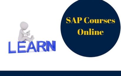 Best institute for SAP course