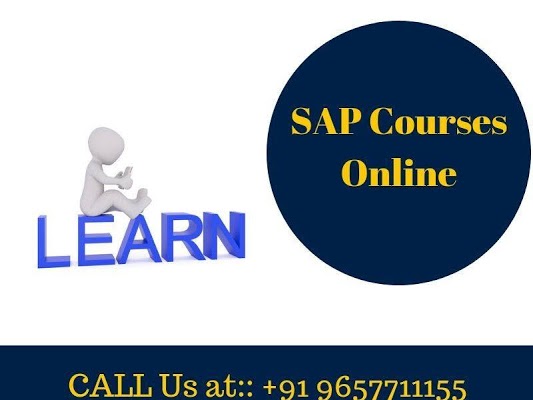 Best institute for SAP course