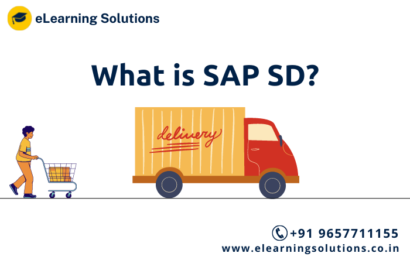 What is SAP SD