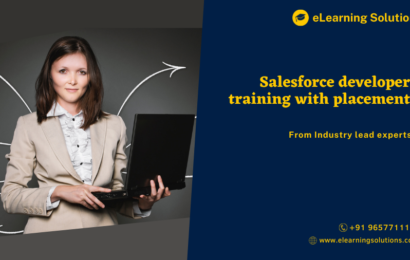 Salesforce developer training with placement