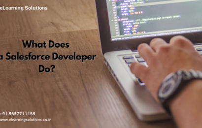 What Does A Salesforce Developer Do