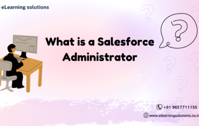 What is a salesforce administrator