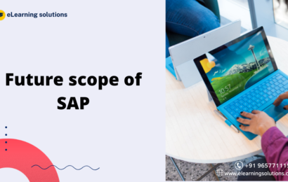 does sap have a future