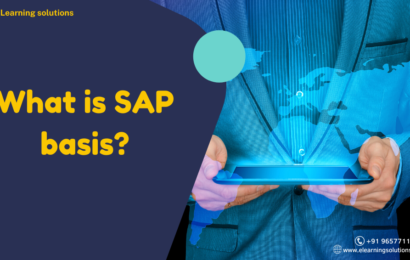 what is sap basis