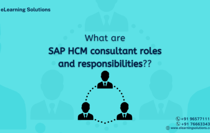 SAP HCM consultant roles and responsibilities