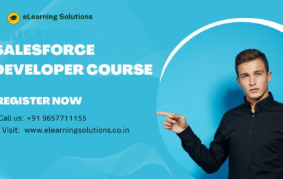 Salesforce developer course