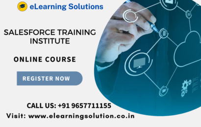 Salesforce training institute