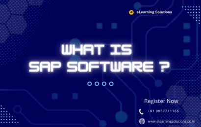 what is sap?