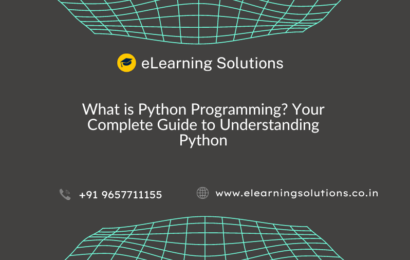 Python Programming