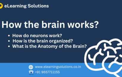 How the brain works?