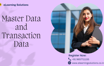 Master Data and Transaction Data