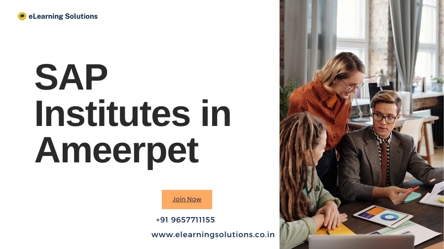 SAP Institutes in Ameerpet