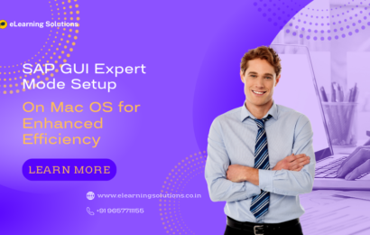 SAP GUI Expert Mode