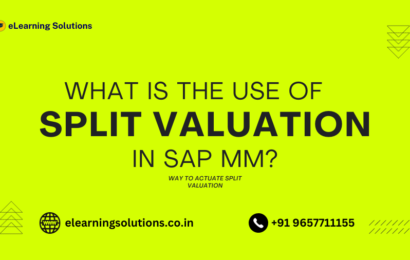 split valuation in SAP MM