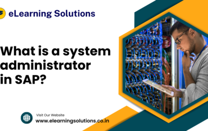 system administrator