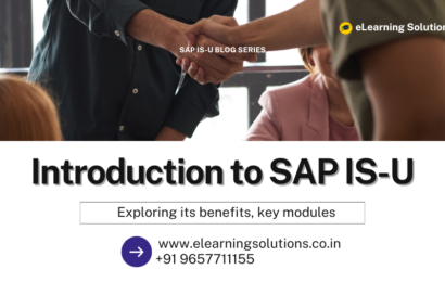 Introduction to SAP IS-U