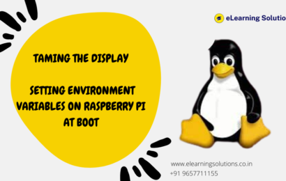 display environment variables