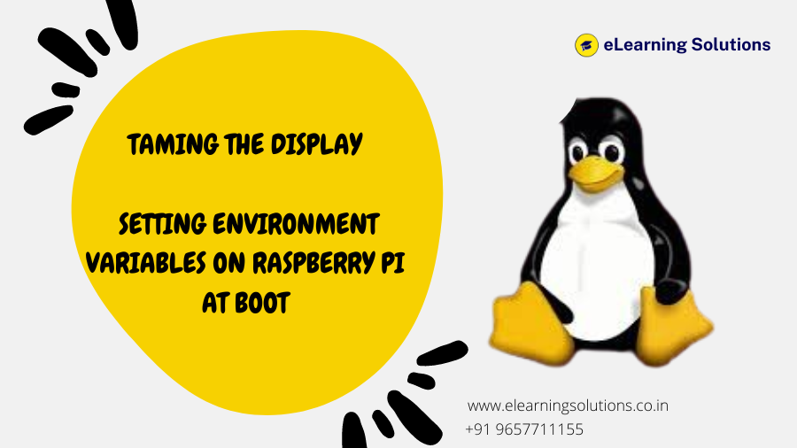 display environment variables