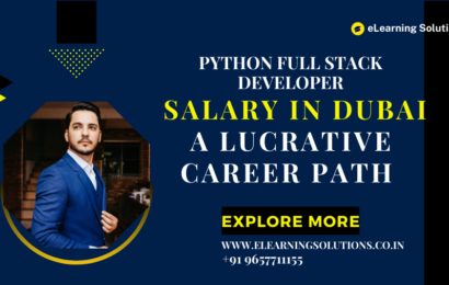 Python Full Stack Developer Salary in Dubai