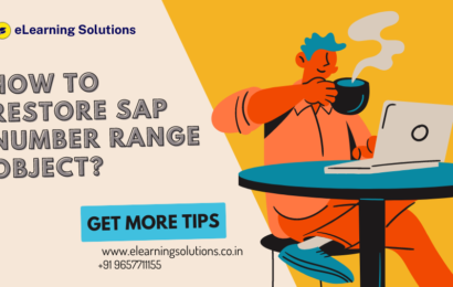 How to Restore SAP Number Range Object ?