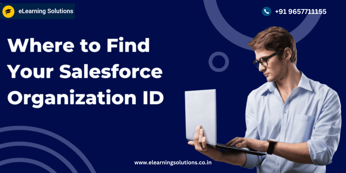 Where to Find Your Salesforce Organization ID